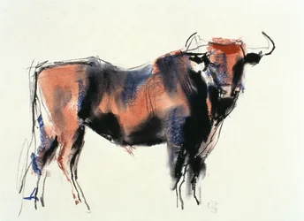 Red Bull, 1998 (grafit, conte i węgiel na papierze)