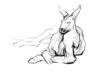 Odpoczywający sportowiec (Czerwony Kangur), 2012, (grafit na papierze)