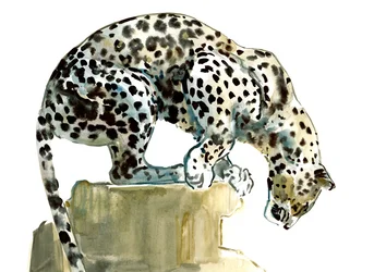 Spine (leopard arabski), 2015, (akwarela i gwasz na papierze)