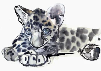 Spotty (lampart arabski), 2008