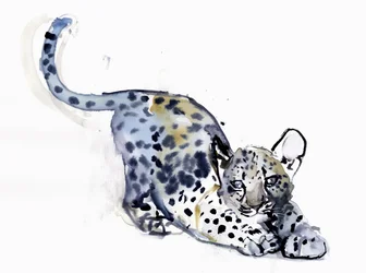 Rozciągający się młody (leopard arabski), 2008