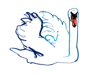 Łabędź, 2021