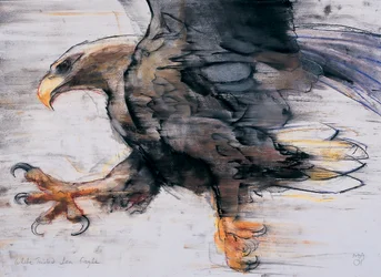 Szpony - Bielik morski, 2001 (węgiel i conte na papierze)