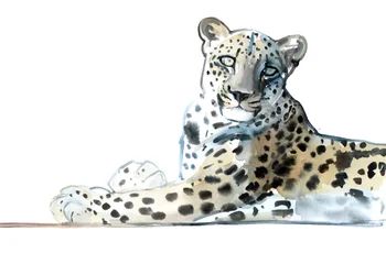 Tilt (leopard arabski), 2015, (akwarela i gwasz na papierze)
