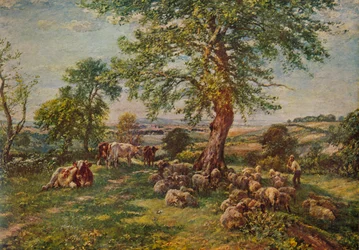 Hill i Dale, ok. 1900 1935
