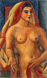 Sari