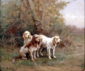 Otterhoundy w krajobrazie