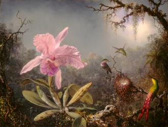 Storczyk Cattleya i trzy kolibry