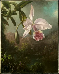 Kwiaty orchidei, 1873.