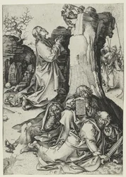 Agonia w ogrodzie (rycina)