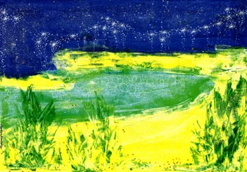 Gwiaździste niebo nad jeziorem