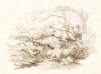 Ilustracja do „Pół setki bajek dla dzieci” autorstwa Hey
