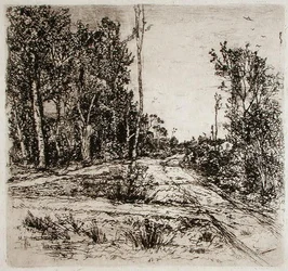 Rozbieżne ścieżki (akwaforta)