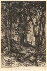 Bez tytułu (scena leśna)