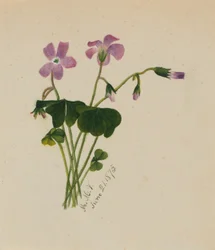 (Bez tytułu)