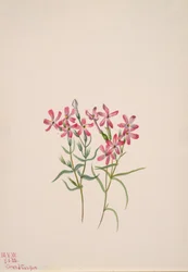 Floks Stansbury, 1938.