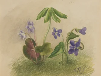 Bez tytułu