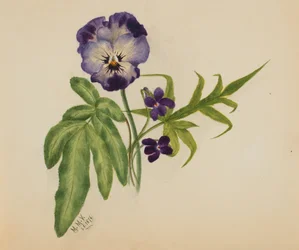 Bratek bez tytułu, 1876.