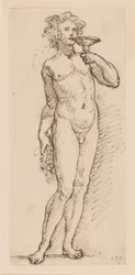 Bachus