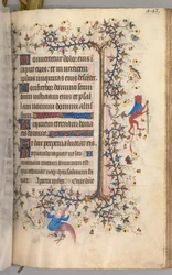 Godzinki Karola Szlachetnego, króla Nawarry (1361-1425): fol. 216r, tekst