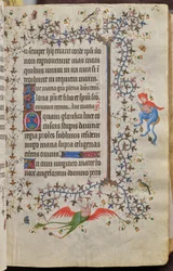 Godzinki Karola Szlachetnego, króla Nawarry (1361-1425): fol. 31r, tekst