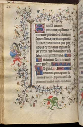 Godzinki Karola Szlachetnego, króla Nawarry (1361-1425): fol. 43v, tekst