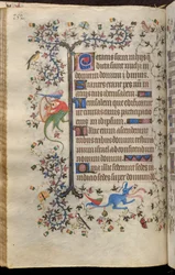 Godzinki Karola Szlachetnego, króla Nawarry (1361-1425): fol. 76v, tekst