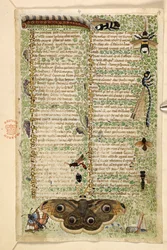 Dodać. 28841, f.4: Osy, ćmy, ważki i gąsienica, z traktatu o cnotach i wadach oraz anonimowa historia prozy Sycylii (fragment), ok. 1330-40 (welum)