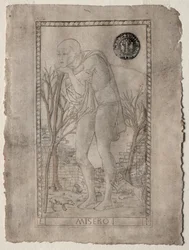 Tarota