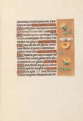 Godziny królowej Izabeli Katolickiej, królowej Hiszpanii: Fol. 103r, ok. 1500.