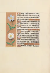 Godziny królowej Izabeli Katolickiej, królowej Hiszpanii: Fol. 117v, ok. 1500.