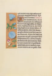 Godziny królowej Izabeli Katolickiej, królowej Hiszpanii: Fol. 163v, ok. 1500.