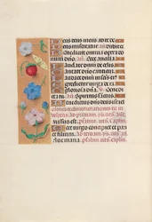 Godziny królowej Izabeli Katolickiej, królowej Hiszpanii: Fol. 164v, ok. 1500.