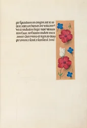 Godziny królowej Izabeli Katolickiej, królowej Hiszpanii: Fol. 16r, ok. 1500.