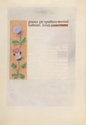 Godziny królowej Izabeli Katolickiej, królowej Hiszpanii: Fol. 196v, ok. 1500.