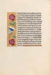 Godziny królowej Izabeli Katolickiej, królowej Hiszpanii: Fol. 231v, ok. 1500.