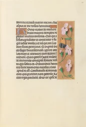 Godziny królowej Izabeli Katolickiej, królowej Hiszpanii: Fol. 238r, ok. 1500.