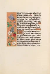 Godziny królowej Izabeli Katolickiej, królowej Hiszpanii: Fol. 238v, ok. 1500.