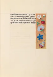 Godziny królowej Izabeli Katolickiej, królowej Hiszpanii: Fol. 269r, ok. 1500.
