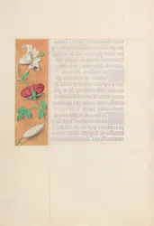 Godziny królowej Izabeli Katolickiej, królowej Hiszpanii: Fol. 42v, ok. 1500.