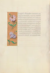 Godziny królowej Izabeli Katolickiej, królowej Hiszpanii: Fol. 49v, ok. 1500.