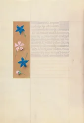 Godziny królowej Izabeli Katolickiej, królowej Hiszpanii: Fol. 65v, ok. 1500.