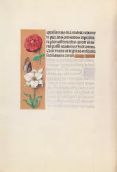 Godzinki królowej Izabeli Katolickiej, królowej Hiszpanii:  Fol. 76v