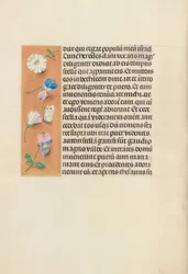 Godzinki królowej Izabeli Katolickiej, królowej Hiszpanii:  Fol. 95v