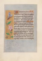 Godziny królowej Izabeli Katolickiej, królowej Hiszpanii: Fol. 98v, ok. 1500.