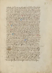 Historiated Initial P: Ulewa ropuch, żab drzewnych i robactwa
