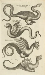 Tablica XII, mityczne stworzenia, smoki, ilustracja z 