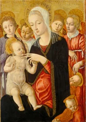 Madonna z Dzieciątkiem z Aniołami i Cherubinami