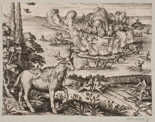 Tutaj nie mogę przestać myśleć o szczególnie cudownym stworzeniu, które tubylcy nazywają Mosse