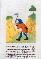 Le Livre des simples medecines - tłumaczenie na język francuski z XII-wiecznego łacińskiego rękopisu Matthaeusa Plateariusa (pergamin)